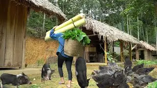 Find banana trees as food for ducks and pigs, Build a new furnace