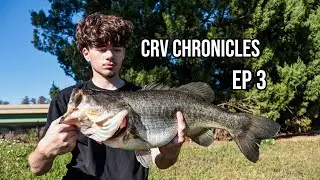 catching GIANT BASS in FLORIDA (CRV CHRONICLES EP 3)