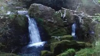 The shimna river from the source to the sea