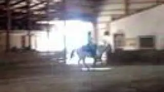Pony Cruiser and me killing Zoe
