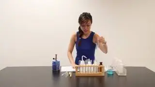 GCE O Level Science Practical (Chemistry) Year 2009 - PREPARATION