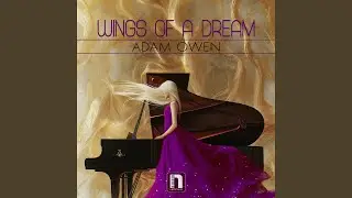 Wings of a Dream