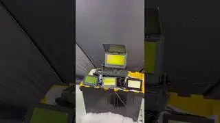 These fish can&rsquo;t escape us