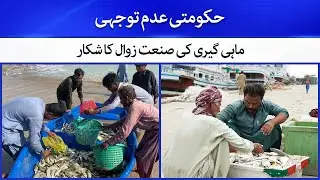 Pakistan's Fishing Industry in Decline Due to Government Negligence
