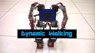 Humanoid (Dynamic walking)