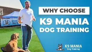 Board and Train | K9 Mania Dog Training