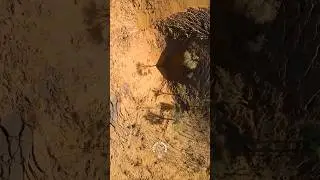 The land collapsed in Rajasthan (Bikaner)