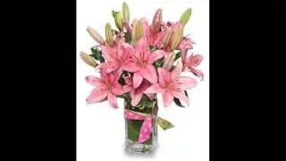 Local Florist Ottawa | Local Florist Gatineau | Local Florist Montreal