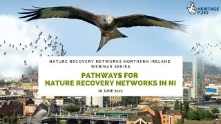 Pathways for Nature Recovery Networks in NI