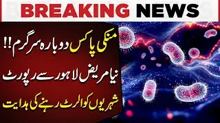 Monkeypox Alert | New Case Reported in Lahore | Breaking News | Pakistan Today News