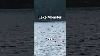 Lake Monster