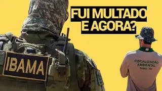 Fui multado, e agora? Multas Ambientais Auto de Infra&ccedil;&atilde;o - IBAMA, SEMA