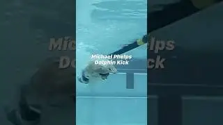 ЭПИЧЕСКИЙ ПОДВОДНЫЙ ПРЫЖОК ДЕЛЬФИНА Майкла Фелпса