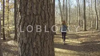 Hiking Loblolly Trail in Umstead State Park NC