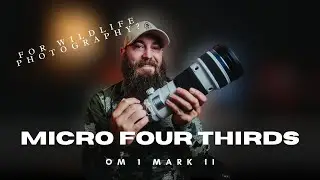 Are Micro Four Thirds cameras underrated for wildlife photography?