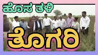ಬೇಸಿಗೆಯಲ್ಲಿ ಬಿತ್ತುವ ತೊಗರಿ ಬೆಳೆ ಆವಿಷ್ಕಾರ ಹೇಗೆ ಇದೆ ನೋಡಿ @TV10NEWSBGK