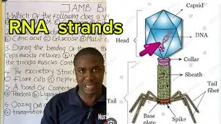 40 JAMB 2026 Biology Likely Questions Revealed(Score 90+ in Your JAMB Biology)