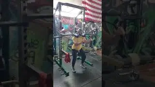Barbell Squat Safety Bar