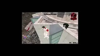 Five M
