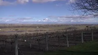 Canyon County Winery Adapts and Thrives Through Winter Conditions
