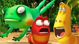 LARVA | побег из болота | Мультфильмы для детей | WildBrain