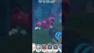 I Found Ringtail Slime in Slime Rancher 2
