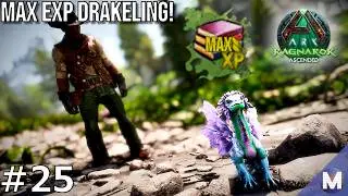 Skarb za MAX EXP na Drakelingu i Oswajanie Modliszką! | ARK Ragnarok Ascended #25