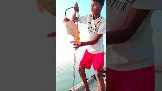 Never Expected This Fish! 😱🎣 | River Fishing Shorts