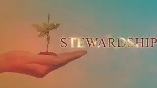 LIVE!!! Stewardship