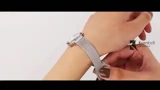 Review Skagen 456SSS - Leonora Silver Stainless Steel Mesh Ladies Watch | skagenWear