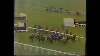 1983 Sun Alliance Chase Cheltenham