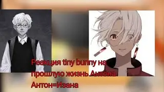 Реакция Tiny bunny на прошлую жизнь Антона.Антон=Изана.