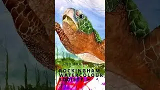 Rockingham Watercolour Society Art Exhibition video 2