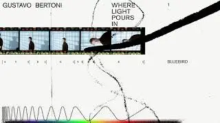 Gustavo Bertoni - Bluebird (&Aacute;lbum: Where Light Pours In)