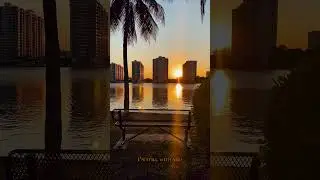 The track is live 🔥 | Art Generation &ndash; Where the Light Fades #newrelease  #miamisunset #miamiviews