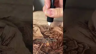 My favourite woodburning tools! You can find the links to these on my page 🫶🏼#woodburning
