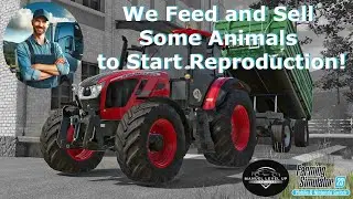FS 23 - 243. We Feed and Sell Some Animals to Start Reproduction!