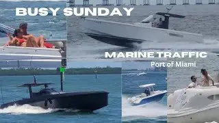 Yachts ○ Marine Traffic ○ Port of Miami