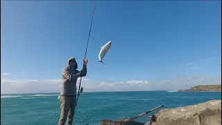 Hi Sydney Wollongong windang rock fishing