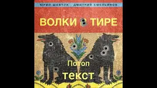 Юрий Шевчук и Дмитрий Емельянов - Потоп - текст, караоке