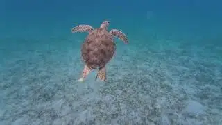 St. Thomas, US Virgin Islands 