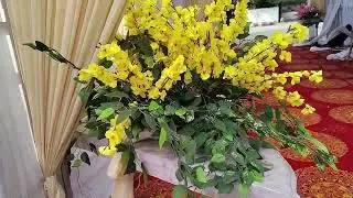 यह हमारा अलीगढ़ #pleaselike 