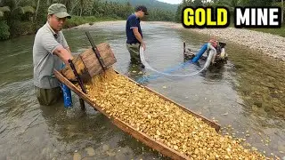 Gold Discovery: Large Particles Trapped Beneath Sand and Gravel #goldmines #gold