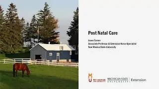Post Natal Care