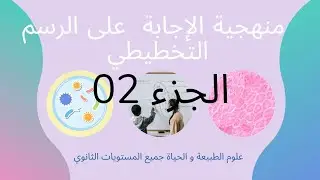 مثال تطبيقي عن تحليل رسم تخطيطي
