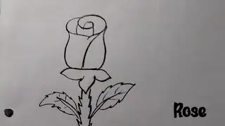 How to draw a Rose 🌹🌹||Rose drawing|| easy drawing||art video 
