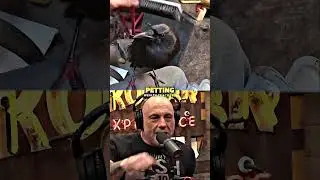 Joe Rogan On Training Crows