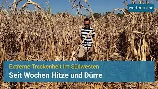 Seit Wochen Hitze und D&uuml;rre - Extreme Trockenheit im S&uuml;dwesten