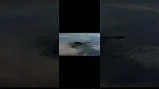 Northrop B-2 Spirit edit #b2bomber #spiritbomb #jet #edit #trending #viral #editing