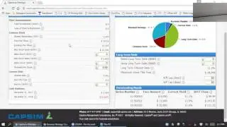 Business Strategy: Capstone Finance Function